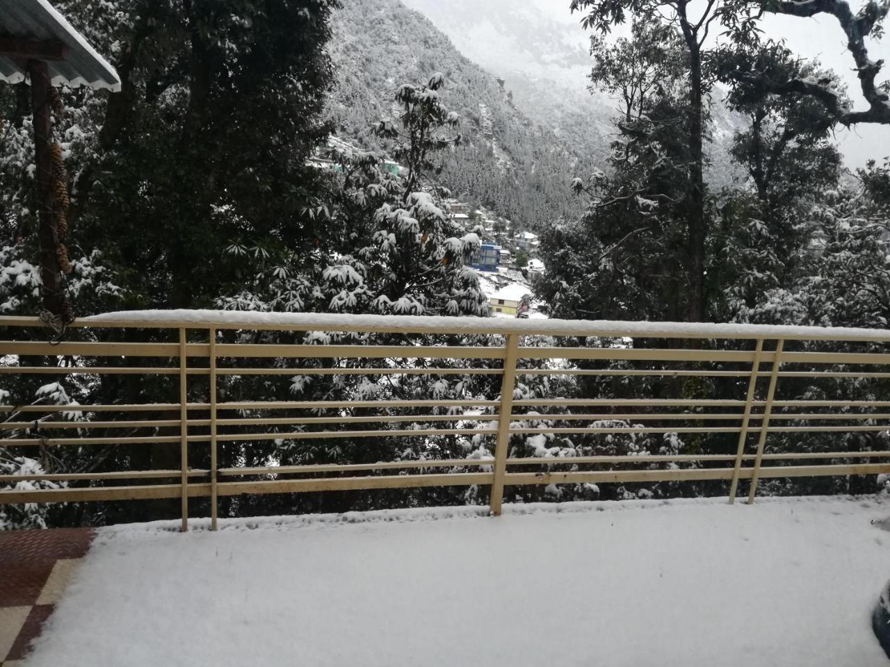 The Unmad, Dharamkot Hotel Dharamshala Luaran gambar