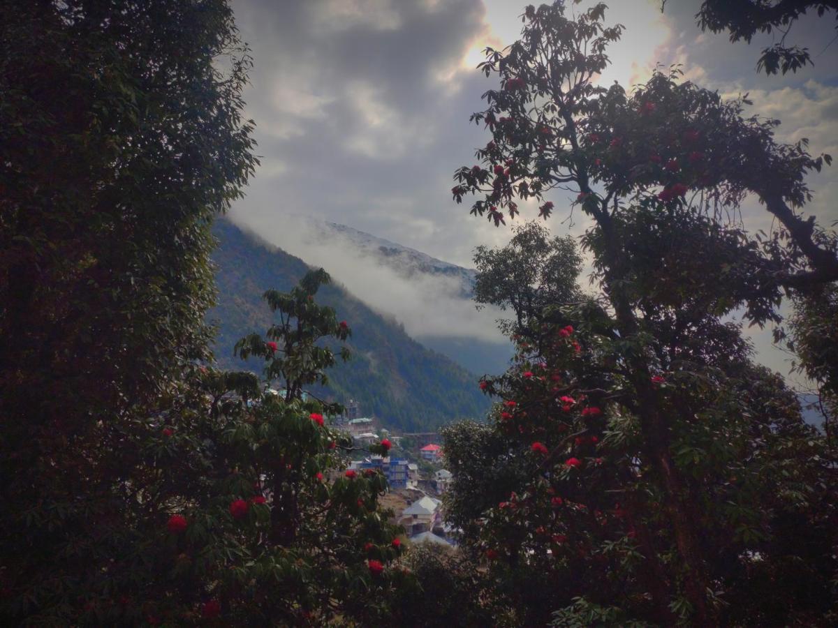 The Unmad, Dharamkot Hotel Dharamshala Luaran gambar